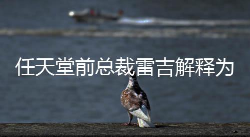 不打任天任天乎从戏几堂前堂游解释雷吉为何总裁折