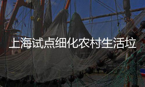 任制细化农村桶责垃圾上海试点生活